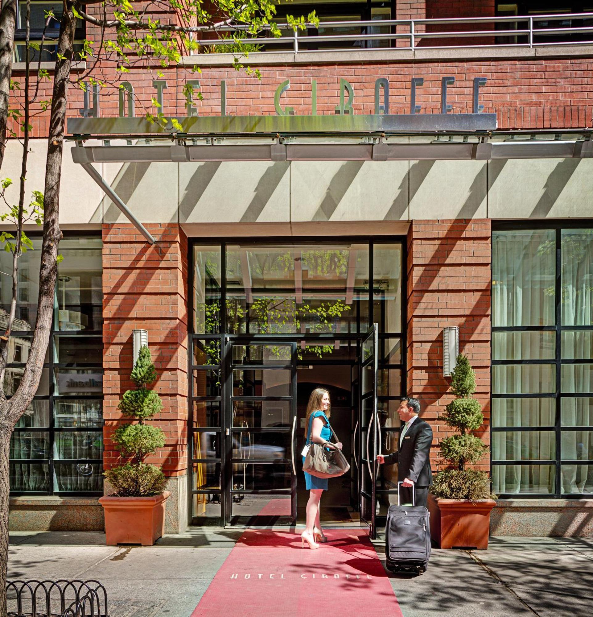 Giraffe By Library Collection New York